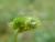 Img.VTax765.Ex2.Img3