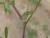 Img.VTax770.Ex1.Img3