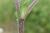 Img.VTax775.Ex2.Img1
