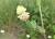 Img.VTax775.Ex2.Img2
