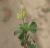 Img.VTax776.Ex2.Img3