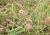 Img.VTax790.Ex1.Img2