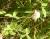 Img.VTax790.Ex2.Img1