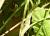 Img.VTax790.Ex2.Img2