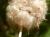 Img.VTax790.Ex2.Img3
