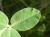 Img.VTax790.Ex2.Img7