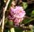 Img.VTax790.Ex3.Img8