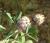 Img.VTax790.Ex3.Img9