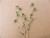 Img.VTax793.Ex1.Img1