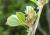 Img.VTax793.Ex1.Img4