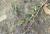 Img.VTax793.Ex1.Img5