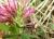 Img.VTax796.Ex1.Img3