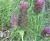 Img.VTax796.Ex1.Img4