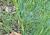 Img.VTax796.Ex1.Img6