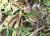 Img.VTax801.Ex2.Img5