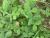 Img.VTax812.Ex1.Img4