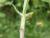 Img.VTax816.Ex2.Img1