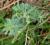 Img.VTax821.Ex1.Img1