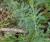 Img.VTax821.Ex1.Img2