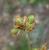 Img.VTax821.Ex1.Img3
