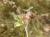 Img.VTax824.Ex3.Img1