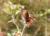 Img.VTax824.Ex3.Img3
