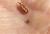 Img.VTax824.Ex3.Img5