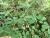 Img.VTax825.Ex2.Img5