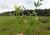 Img.VTax834.Ex1.Img1