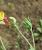 Img.VTax838.Ex3.Img1