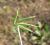Img.VTax838.Ex3.Img3