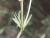 Img.VTax838.Ex3.Img5