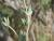 Img.VTax838.Ex3.Img6