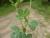 Img.VTax843.Ex1.Img1