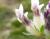 Img.VTax850.Ex1.Img1