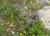 Img.VTax850.Ex1.Img2