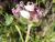 Img.VTax850.Ex1.Img3