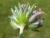 Img.VTax850.Ex1.Img5