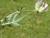 Img.VTax850.Ex1.Img6