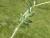Img.VTax850.Ex1.Img7