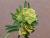 Img.VTax852.Ex3.Img3