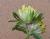 Img.VTax852.Ex3.Img4