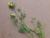 Img.VTax852.Ex3.Img5