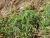 Img.VTax857.Ex2.Img1