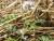 Img.VTax857.Ex2.Img2