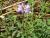 Img.VTax857.Ex2.Img3