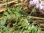 Img.VTax857.Ex2.Img4