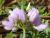Img.VTax857.Ex2.Img5