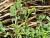 Img.VTax857.Ex2.Img6