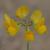 Img.VTax861.Ex3.Img2
